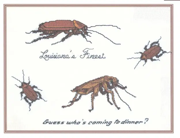 cockroach Louisianas Finest Guess whos coming to dinner
